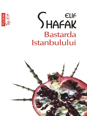 cover image of Bastarda Istanbulului
